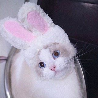 [Ready Stock] Funny Pet Dog Cat Cap Costume Warm Rabbit Hat Cosplay Accessories Photo Props