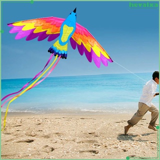 Large Phoenix Bird Kites, Long Tail Beautiful Easy Flyer Kites Beach Kites, Good Kites for Kids and Adults Easy to Fly