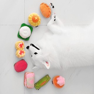 Singapore Kueh Squeaker Chew Toys for Pet Dogs