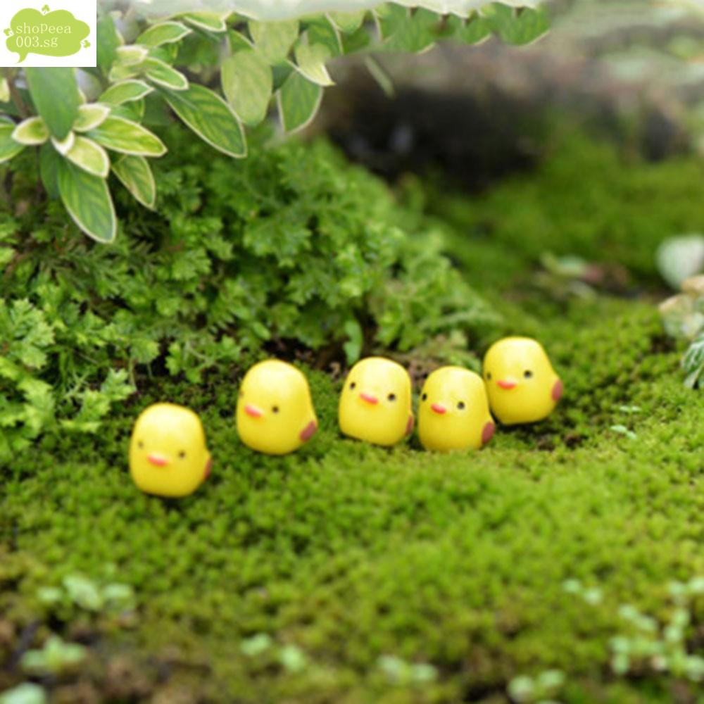 Popular Chick Miniatures Micro Garden Miniature Landscape Figurines