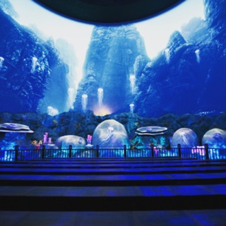 Sea Aquarium Typhoon Theatre