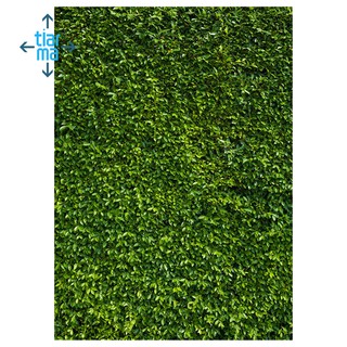 5x7ft(150x210cm) Nature Green Grass Backdrops Photography Wedding or Children Birthday Background
