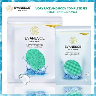 EVANESCE NEW YORK Ivory Face and Body Sponge Set / (Whitening / Brightening / Skin Renewal / Makeup Remover)