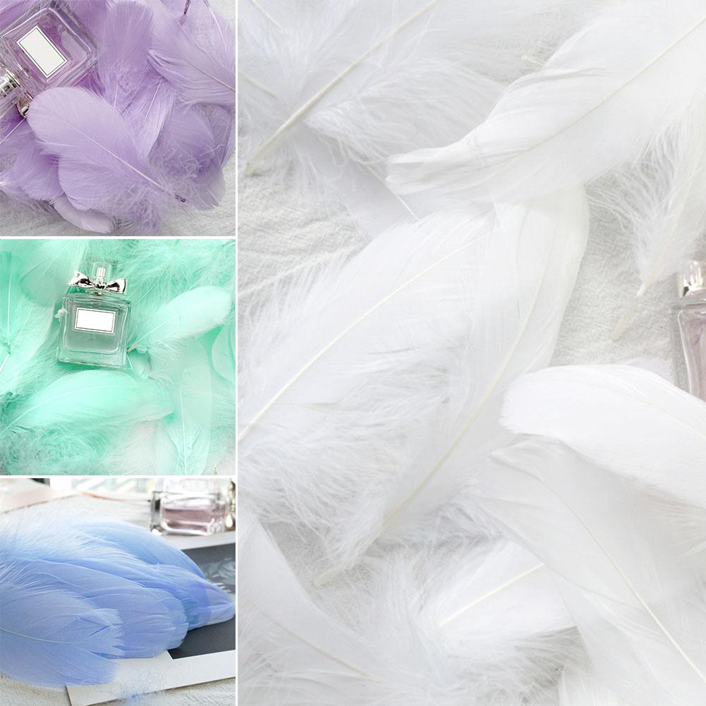 100Pcs/Pack Party Multi Color Natural Studio Wedding Lightweight Elegant Feather
