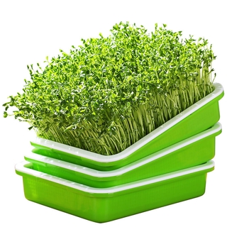 Seed Sprouter Tray * Seedling Tray with Lid * Hydroponics Germination Tray * Nursery Seedling Tray / Plastic Seedling Tray Double-layer Bean Sprouts Grow Tray Hydroponic Flower Basket Home Garden Nursery Pots / wheat seeds soilless cultivation Vegetables