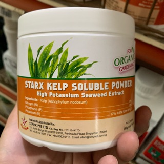 STARX Kelp Soluble Powder, High Potassium Fertilizer (250g)