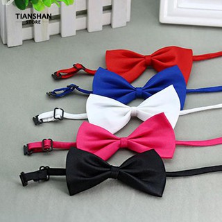 Tianshan Cat Bowtie Pet Collar Bowknot Necktie Bow Tie