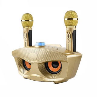 SD306 Dual Bluetooth Speaker With 2 Wireless Microphones Outdoor Family KTV Stereo Mic Big Sound 20W SDRD /LOCAL SET (1)