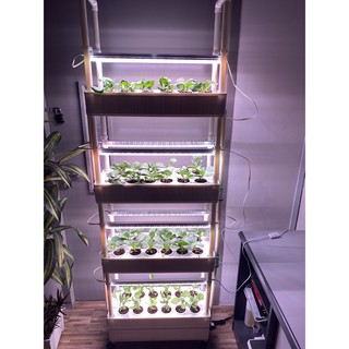 Hydroponic 4 Tier Planter System (Home Gardening with LED Grow Lights and Water Pump)