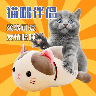 ✇Male cats vent, plush cats, estrus, cat sleep, cat companion, trampling toys, cats, female cats, pet supplies