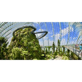 Garden by the bay e ticket cheap ticket discount flower and cloud forest domes e ticket sky park Marina