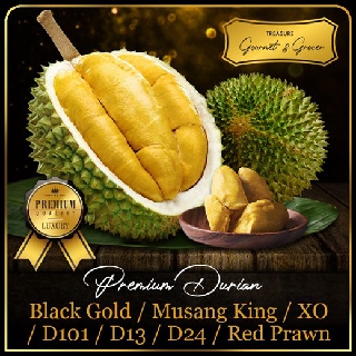 [TREASURE GOURMET] Fresh Durian Red Prawn D13 Mao Shan Wang MSW Black Gold Golden Phoenix Black Pearl 350g 新鲜榴莲