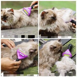 ◊▥✲Cat Brush FURminator Long or Short Hair deShedding Tool for Cats11