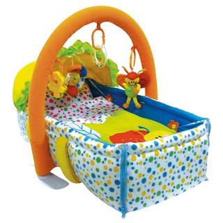 Lucky Baby® Colourful Bug 2 In 1 Moses Basket 622520