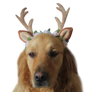 sanmubo.sg✯Spring and Autumn Outdoor Clips Pet Supplies Christmas Dog Hat Cat Accessories Fairy Antler Headband (1)