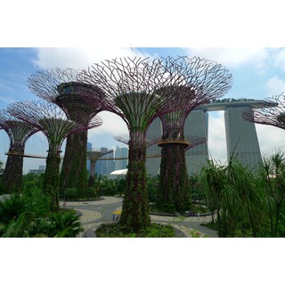 Gardens by the bay Admission Ticket(Flower Dome+Cloud Forest)-Eticket