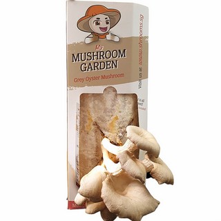 DIY Mushroom Cultivation Kit | Grow and Harvest Your Own Mushrooms | Gift Ideas | Plant Kits | Greener Side
