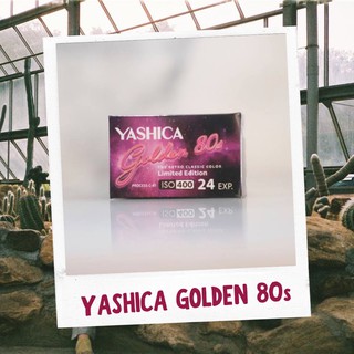 Yashica Golden 80s (limited edition) - Roll Film ISO 400, 24exp