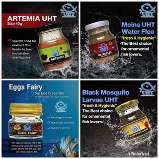 **PREMIUM** UHT Betta Ready-to-use Fish Food: Bio Artemia, Water Fleas, Black Mosquito Larvae, Eggs Fairy