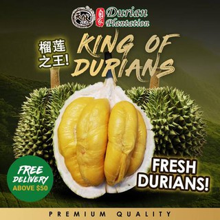 [Durian Plantation]Durian season come back fresh durian 400g/1kg Delivery