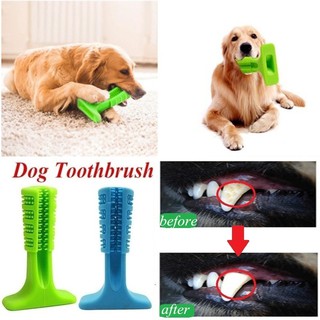 Two Stytles Dog Toothbrush Bristly Brushing Stick Pet Molars