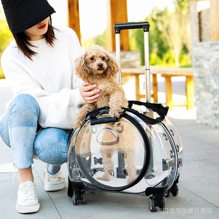 ✨✨Pet Trolley Case Carrier for Cats and Puppies, Ventilated Cat Backpack Carrier, Comfort with Mat for Travel, Hiking, W (1)