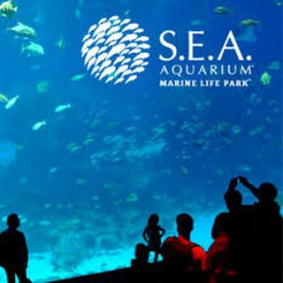 SEA (sea/S.E.A) Aquarium e-Ticket