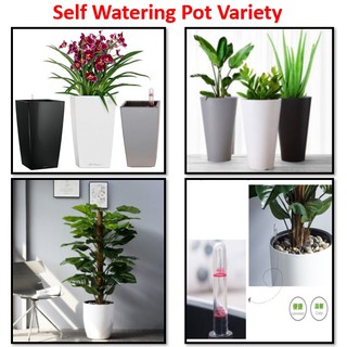 [SG SELLER] Self Watering Planter Plant Pot Potter Gardening Accessories Flower Pot