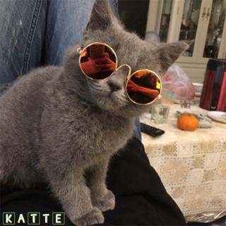 Dog Cat Pet Glasses Little Dog Eye-wear Puppy Sunglasses Photos Props for Pet
