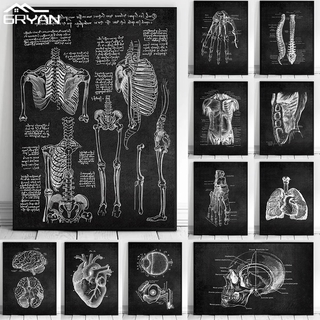 Black White Human Body Medical Anatomy Canvas Print Poster Skeleton Muscle Architecture Painting Spine Skull Modern Wall Picture
