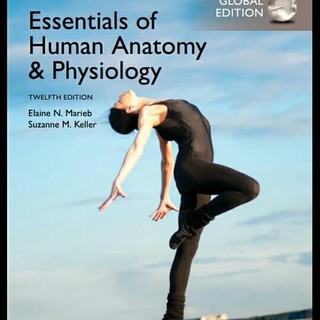 Essentials Of Human Anatomy & Physiology 12th Twelfth Marieb Keller 12
