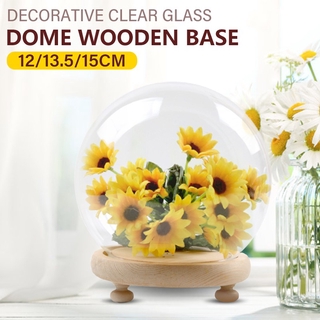 12/13.5/15cm Round Decorative Clear Glass Dome Wooden Base Cloche Bell Jar Decor