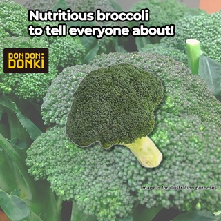 [DONKI]Broccoli