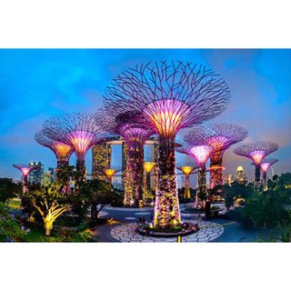 Gardens by the bay (Flower Dome+Cloud Forest)+OCBC Skyway-Eticket