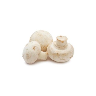 Fresh White Button Mushroom 白蘑菇 (200gm)