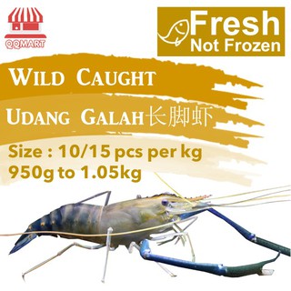 Fresh Seafood - Wild Caught Fresh Udang Galah Prawn - - Direct from Fishery Port to your Doorstep