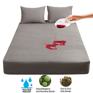 [Ready Stock]Cotton Terry Waterproof Mattress Protector Stripe Bed Sheet Bedbug Proof Sheet Cover Single/Super Single/Queen/King