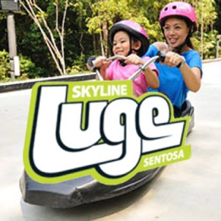 Luge & Skyride (one round or two rounds)