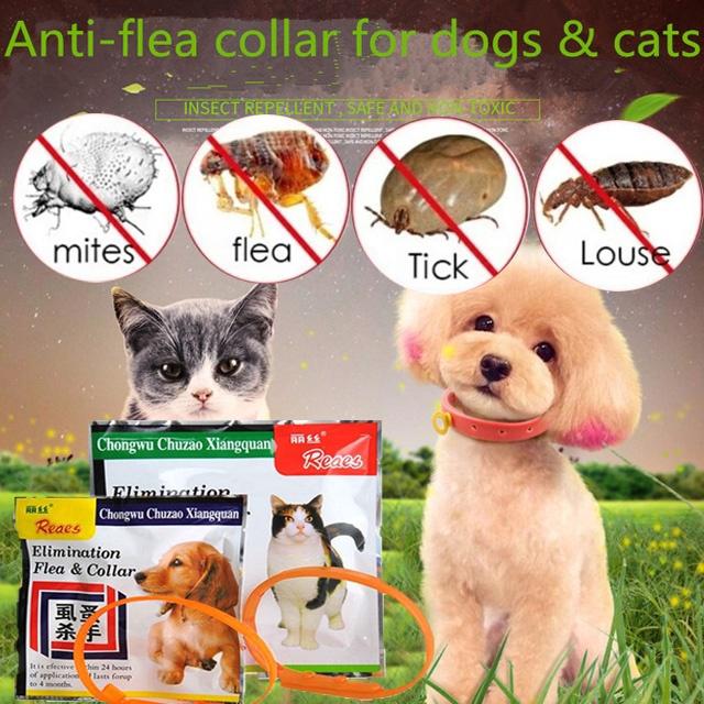 1PC Pet Dog Cat Anti Flea Collar Tick Quick Kill Pet Necklace Flea Killer