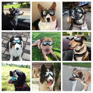 ★Pet glasses dog supplies goggles waterproof windproof sunscreen UV dog glasses manufacturers wholesale black 均码（大型犬）