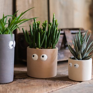 Big-eyed cute small flower pot flower vase desktop succulent green plant creative two-dimensional potted plant
