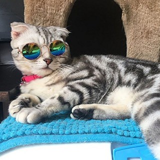 Playing Cool Metal Frame Sunglasses Pet Supplies Dog Cat Eye-Protection Anti-we