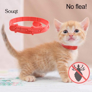 SQ Pet Dog Cats Puppy Adjustable Paws Anti Flea Mite Tick Mosquito Collar Necklace