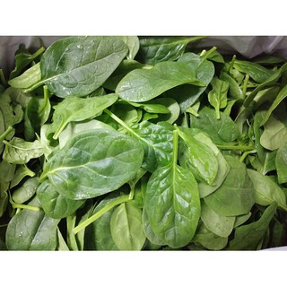 Freshly air-flown baby spinach in 500g - $60 and above for free delivery. (2)