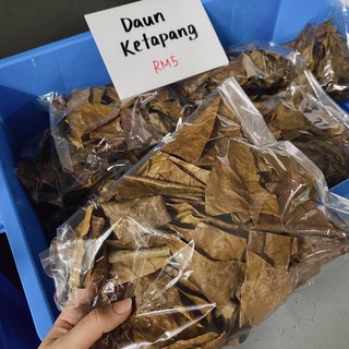 [Shop Malaysia] Dried Original Ketapang Leaves 40g / 50g - Leaf Already Clean (Betta Leaf, Betta Leave, Laga Fish Leaf)