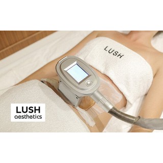 Lush Aesthetics Fat-Freezing Slimming Treatment for 1 Person