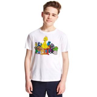 Boys Girls Sesame Street Street Graphic Tshirt Summer Casual Cartoon Child Tops