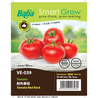 SEEDS: VE-039 F1 TOMATO RED ROCK