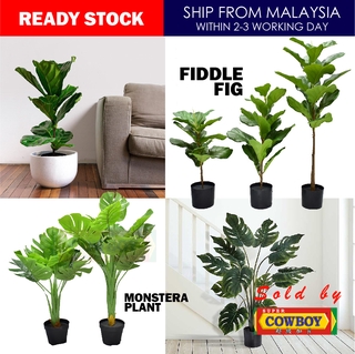 Pokok Hiasan VIRAL Premium (3D) Monstera Plant & Fiddle Fig Airtificial Tree / Artificial Plant Premium / Pokok Deco
