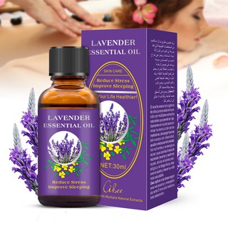 Cibee Lavender Massage Oil Moisturizing and Rejuvenating Moisturizing Body Massage SPA Massage to relieve anxiety